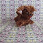 「なんじゃこりゃ？」選手権