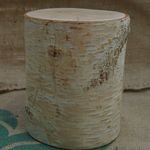 切り株　（白樺）