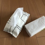 エコティッシュケース
