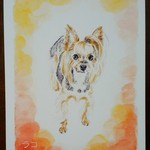 【tiny様オーダー品】愛犬イラスト