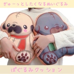 もちもち♪BIGsizeぱぐるみクッション
