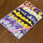 年末感謝セール‼️お花屋さんが作ったドライフラワーお詰め合わせ    み10