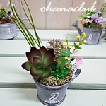 ブリキ雑貨シリーズ　長旅カッパさん＆多肉植物マグカップ