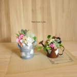 Petit Green Arrange 368