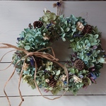 クリスマスリース紫陽花