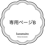 専用ページB