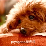 piyoponn様専用