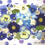 ♡new♡  ♡可愛い押し花セット♡ ♡使いやすい少量の押し花セット♡
