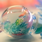 <オブジェ>〜アクアリウム〜ツマグロミノウミウシ、黄×青