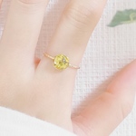 small world ring(小さなお花の世界)