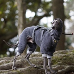 blind border rompers " gray or black "