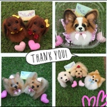 オーダー 犬 羊毛フェルトストラップ