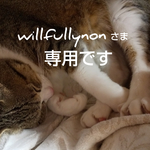 willfullynonさま専用です