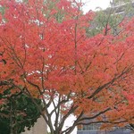 sさま専用ページ♪