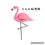 ちゅみ様専用