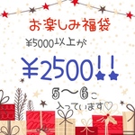 イヤリング福袋　￥2500