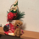 お正月飾り☆門松