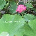 rityumo 様専用ページ