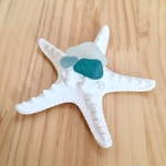コブヒトデのカードスタンド／seaglass