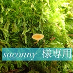 <専用ページ>〜saconny様