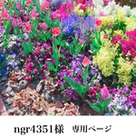 ngr4351様専用ページ(2点)