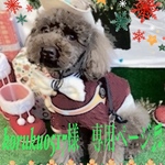 koruku0517様　専用ご購入ページ♬