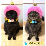 再入荷！節分シュシュ、猫ちゃんの首輪