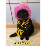 節分バンダナ、猫ちゃんの首輪