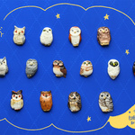 〈片耳分〉選べるミニチュアフクロウのピアス（全身）