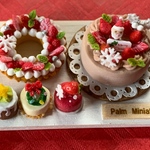 ＊palm miniature＊2019Christmas sweets③