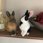 けろ様　専用ページ