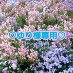 +♡ゆり様専用♡+