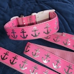 大特価✨✨可愛いリードと首輪のセット