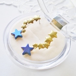 FiveStars＋1 ピアス(サージカルステンレス)
