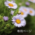 M様＊オーダー専用ページ