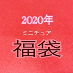 [限定販売]　２０２０年度　ミニチュア　福袋