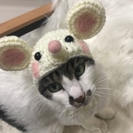 ネズミのかぶりもの
