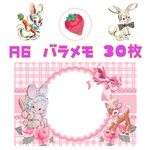 A6 バラメモ　うさぎとばんび
