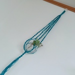 プラントハンガー 