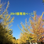 羊毛フェルト　トイプードル