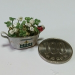 ミニチュアの花(ラッキークローバー)