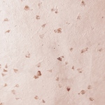 ___https.halさま専用