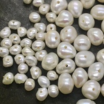 30粒 淡水パール ポテト 2種  セット 