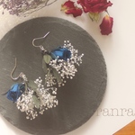 青い薔薇のドライフラワー花束ピアス イヤリング
