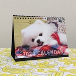 2020年コロンカレンダー