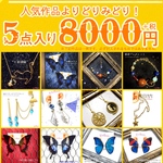 【2020福袋】《S》Ukatz人気作品5点入り【1/10まで注文受付】