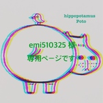 emi510325 様専用ページ