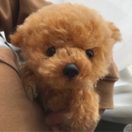 ［再販］トイプードル  ベビー ぬいぐるみ♡