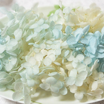 アナベル紫陽花　あじさい　アジサイ　プリザーブド　ソーダフロート