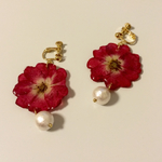 coco-lupin様専用 red flowerイヤリング